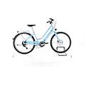 ebike ricondizionata · vale go! 9d eq · buone condizioni