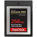 - scheda di memoria compactflash extreme pro 256 gb velocità 1700 mb / s