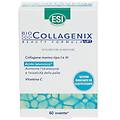 srl biocollagenix 60 ovalette