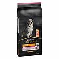 purina pro plan medium & large adult 7+ sensitive skin cibo secco con salmone cani adulti taglia