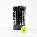 palline tennis tb control pro 2 tubi x4