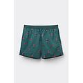 costume boxer mare ricamo scooter uomo verde taglia l