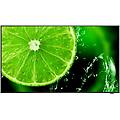 Nec Display Lfd 65 Led Ips Multisync E658 3840 X 2160 4k Ultra Hd