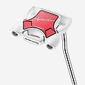 putter adulto destrorso spider tour bianco 34
