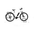 ebike ricondizionata · diamant zing + · come nuovo