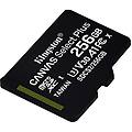 canvas select plus sdcs2/256gbsp scheda microsd classe 10 senza adattatore sd 256 gb