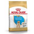 Royal Canin Labrador Retriever Junior 12 Kg