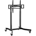 55 -100 moble motorized tv cart