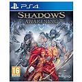 shadows awakening ps4 playstation 4