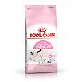feline first age mother and babycat crocchette per gatti sacco 2kg