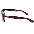 occhiali da sole andy rb4202 607313