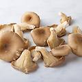 funghi orecchioni bio del s&uuml;dtirol 200 g