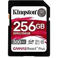 - canvas react plus scheda di memoria flash 256 gb video