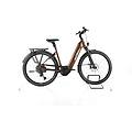 ebike ricondizionata · macina style 720 · buone condizioni