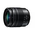 lumix g vario 12-60mm f3. 5-5. 6 asph. power o. i. s. milc teleobiettivo (h-fs12060e)