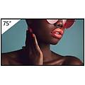 SONY pro bravia fw-75bz40l 75" display