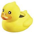 ducky termometro da bagno