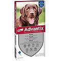 antiparassitario spot-on per cani cani 25-40 kg 4 pipette antiparassitario per cani 1&deg; ordine?