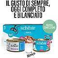 cat lattina in brodo multipack 12x85g tonnetto