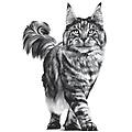 v-diet renal select gatto 4kg