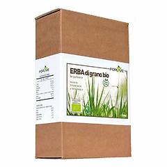 forlive erba di grano bio 200 g