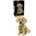 icons cucciolo di golden retriever con collare e medaglietta idea regalo 11384