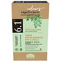 capelvenere colours 6. 1 biondo scuro cenere