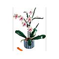 costruzioni orchidea
