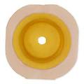 Hollister Spa Conform2 35600 Pl Cvx Fl55 13 38