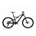ebike ricondizionata · rise h30 · condizioni eccellenti