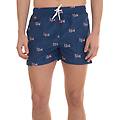 boxer mare blu