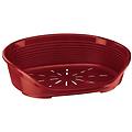 - cuccia per cani e gatti cuccia per cani extra small 100% plastica riciclata cuccia per cani