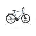 ebike ricondizionata · highline · come nuovo