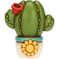 vasetto cactus con papavero medio