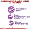 cat sterilised alimento completo per gatti sterilizzati 10kg