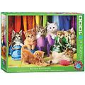 - puzzle kitten pride da 1000 pezzi