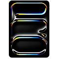 ipad pro 11'' wi-fi + cellular 256gb standard glass nero siderale