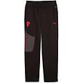 pantaloni acm pumatech sweatpants adulto