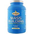 vita al top srl mass building vaniglia 1 8kg
