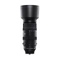 - obiettivo zoom 60-600 f4 5-6 3(s) dg dn os sony-nero/silver