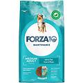 adult maintenance crocchette al pesce per cani adulti taglia media sacco 2kg