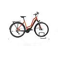 ebike ricondizionata · e-horizon edition · buone condizioni