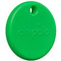 pop universale cercatore verde