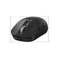 mouse wireless 700