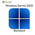 licenza software windows server standard oei 64-bit spagnolo