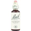 bach clematis 30ml