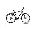 ebike ricondizionata · 6x · come nuovo