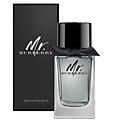 mr. 100 ml eau de toilette spray uomo