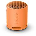 altoparlante bluetooth portatile srsxb100d bluetooth 5. 3