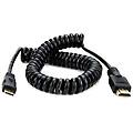 - câble mini hdmi / hdmi 50 cm atomcab009